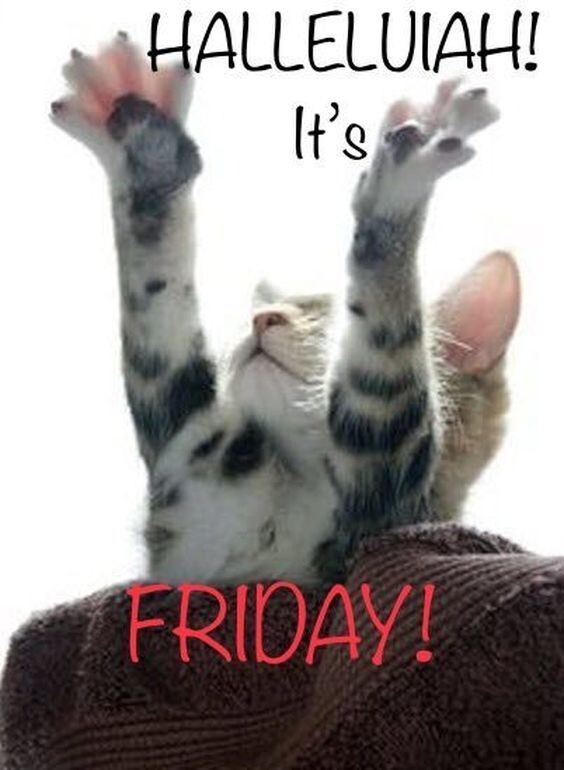Friday