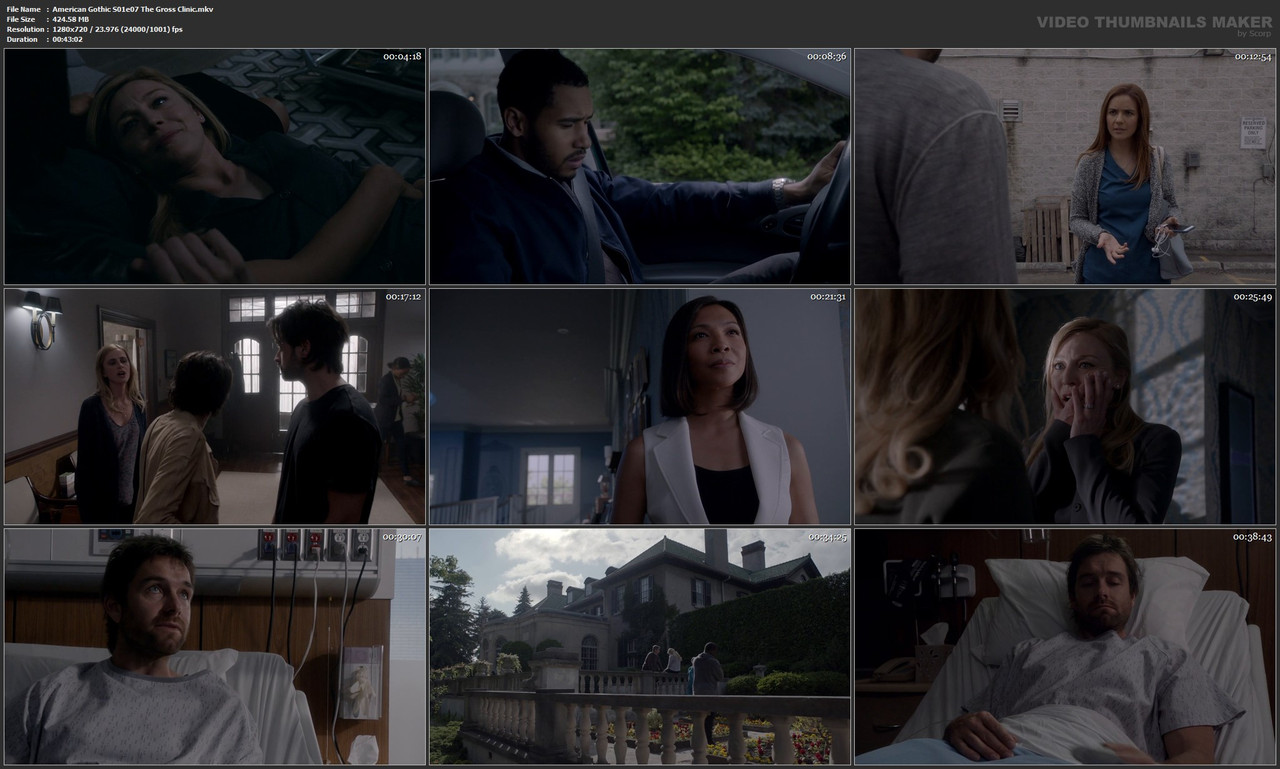 American Gothic S01e07 The Gross Clinic.mkv