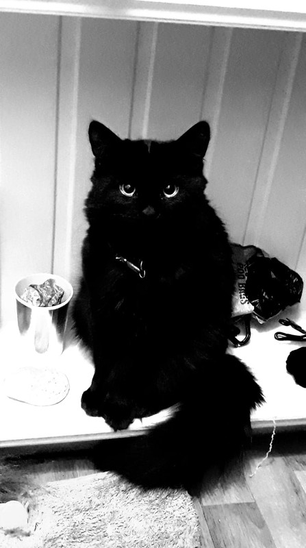 152548117_709701813045961_7442986424526841321_n