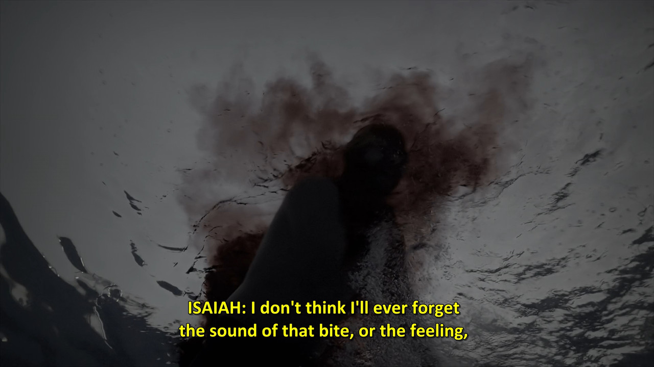 When Sharks Attack  S08E01 Disney  1080p WEB DDP x264-NM21vi.mkv_snapshot_26.37.596