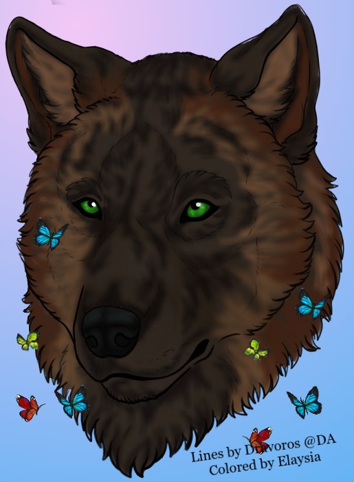 wolfhead-001-f2u-lines-by-dravoros-ddi0ben-1.jpg