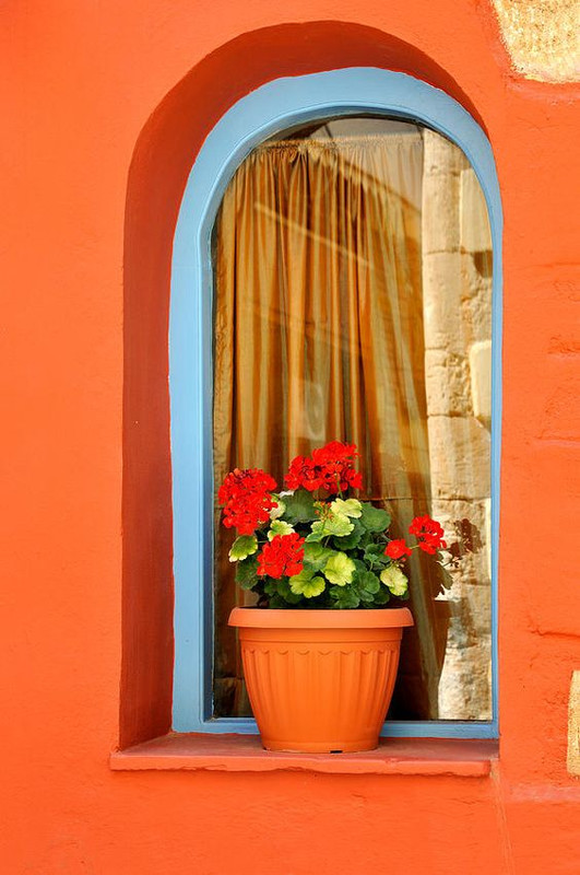 orangedoorplant.jpg
