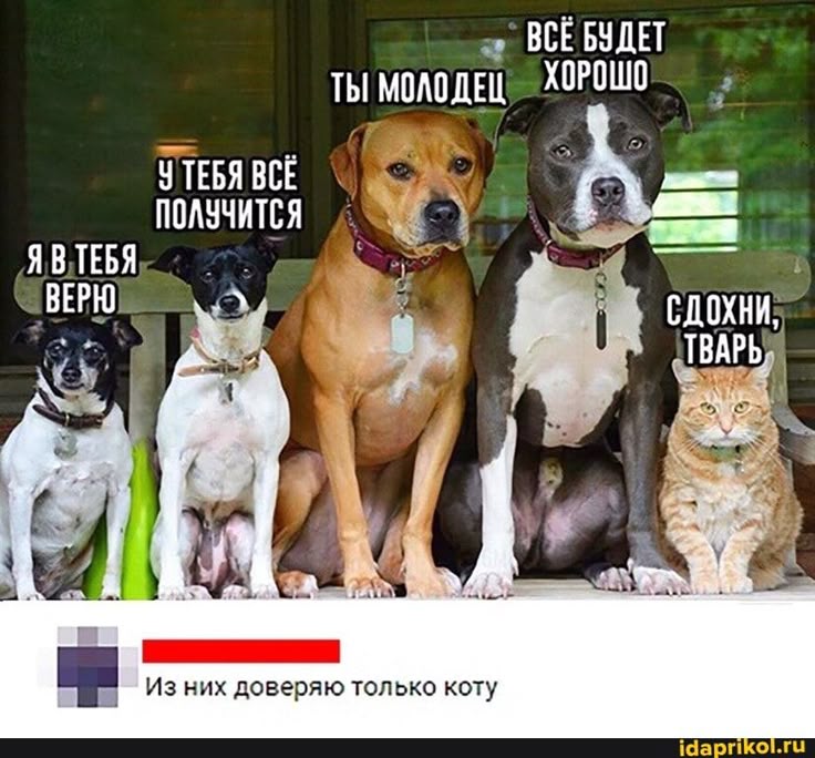 58c57eaf41e55600c5548b8b41bd7ef3.jpg
