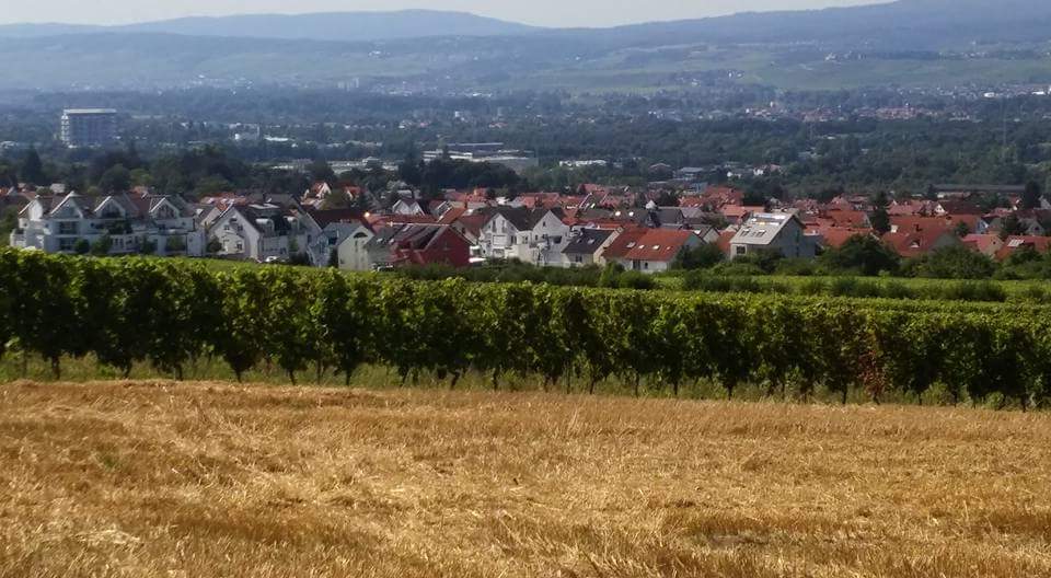 FB_IMG_1471465578605