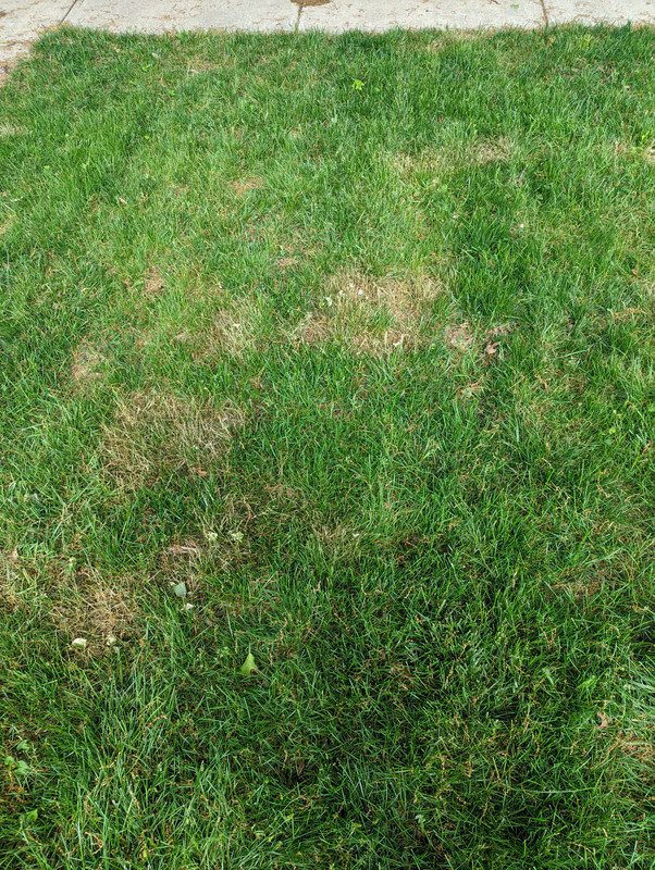 PXL_20220513_211050908