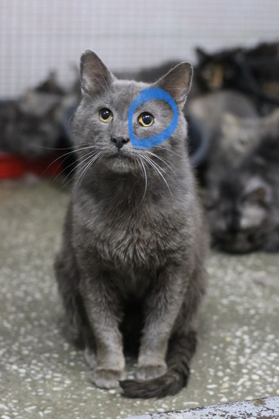 3818479A-FF85-45A6-B51A-8C7418F8F678