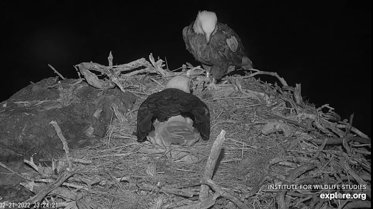 6679D7B7-0355-455D-A56E-AAB016AA5064