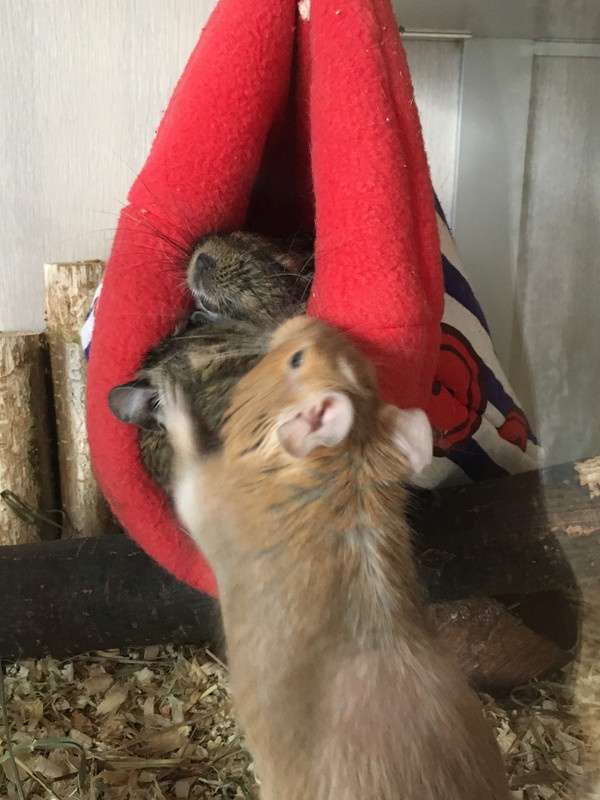 DD89465D-2FAE-4F02-A797-24A6318D2CA1