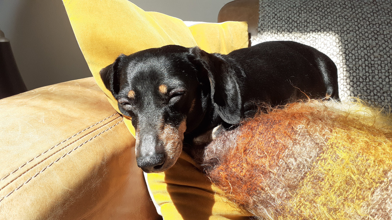 [Image: 20220508-122643.jpg]