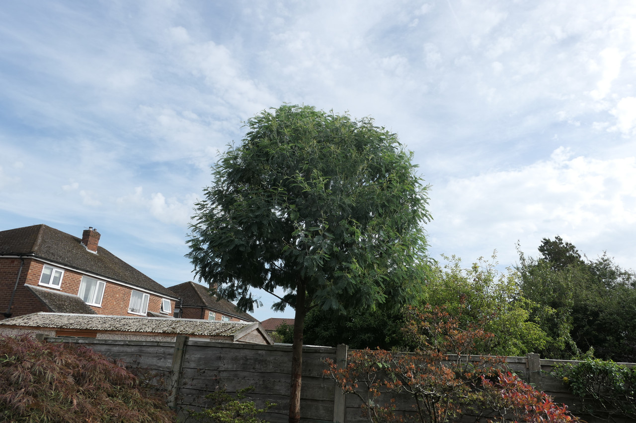 P1050094