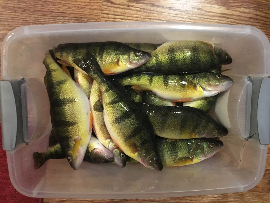 1C28275F-8F1F-4CCD-BE87-E97B203A9BED