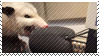 opossum4