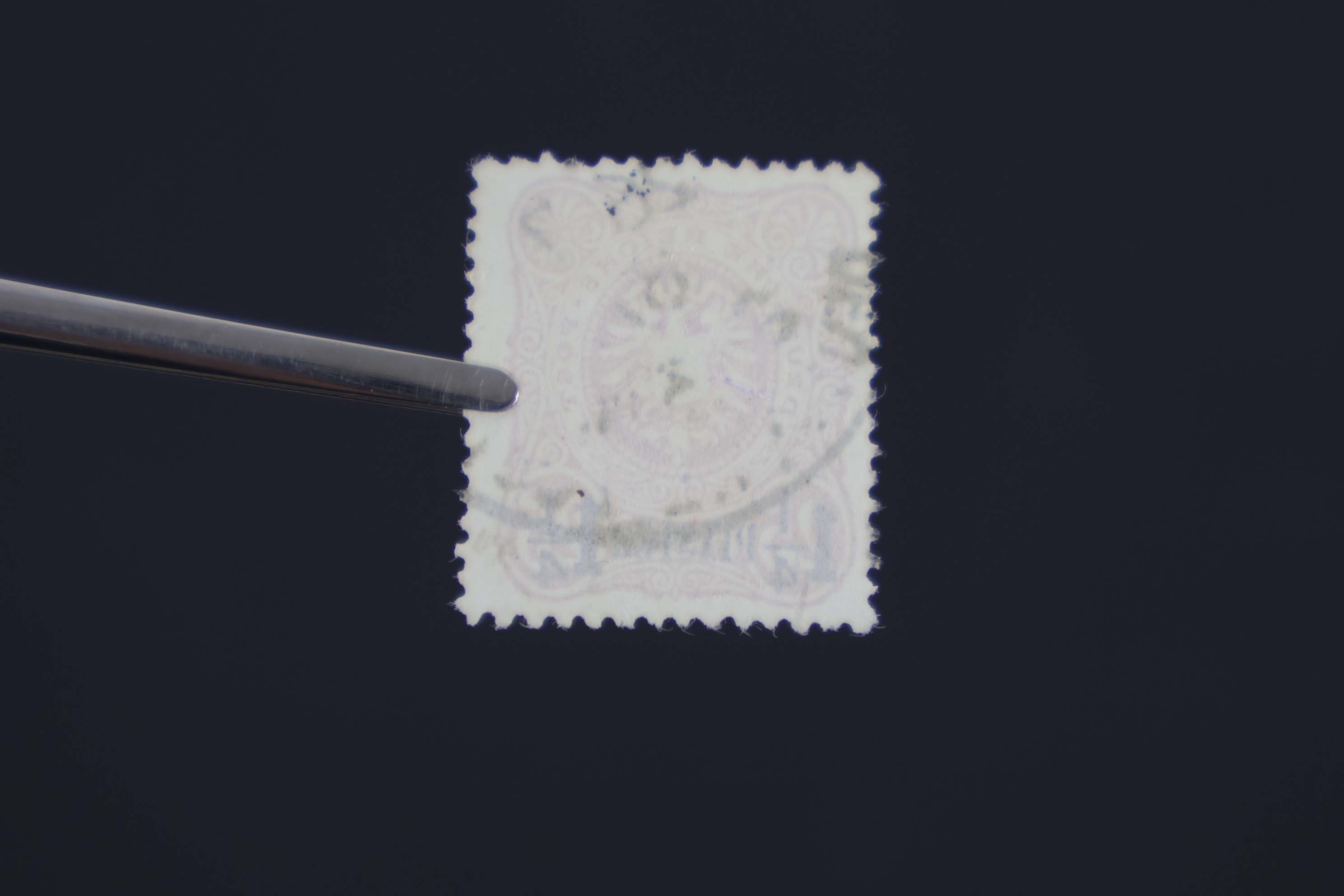 IMG-0215