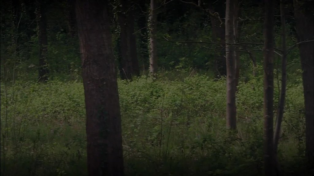 [Image: hl0re7an4j0q.jpg]