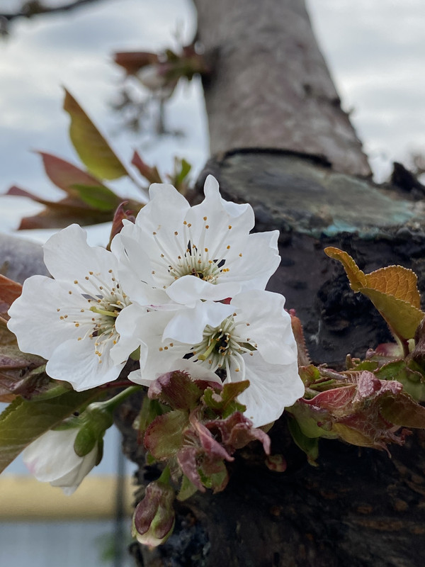 03B35DB9-46C8-4F50-B80A-2328463472C0