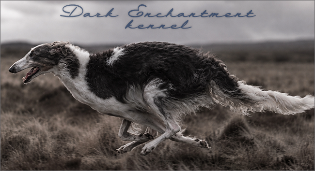 Dark Enchantment