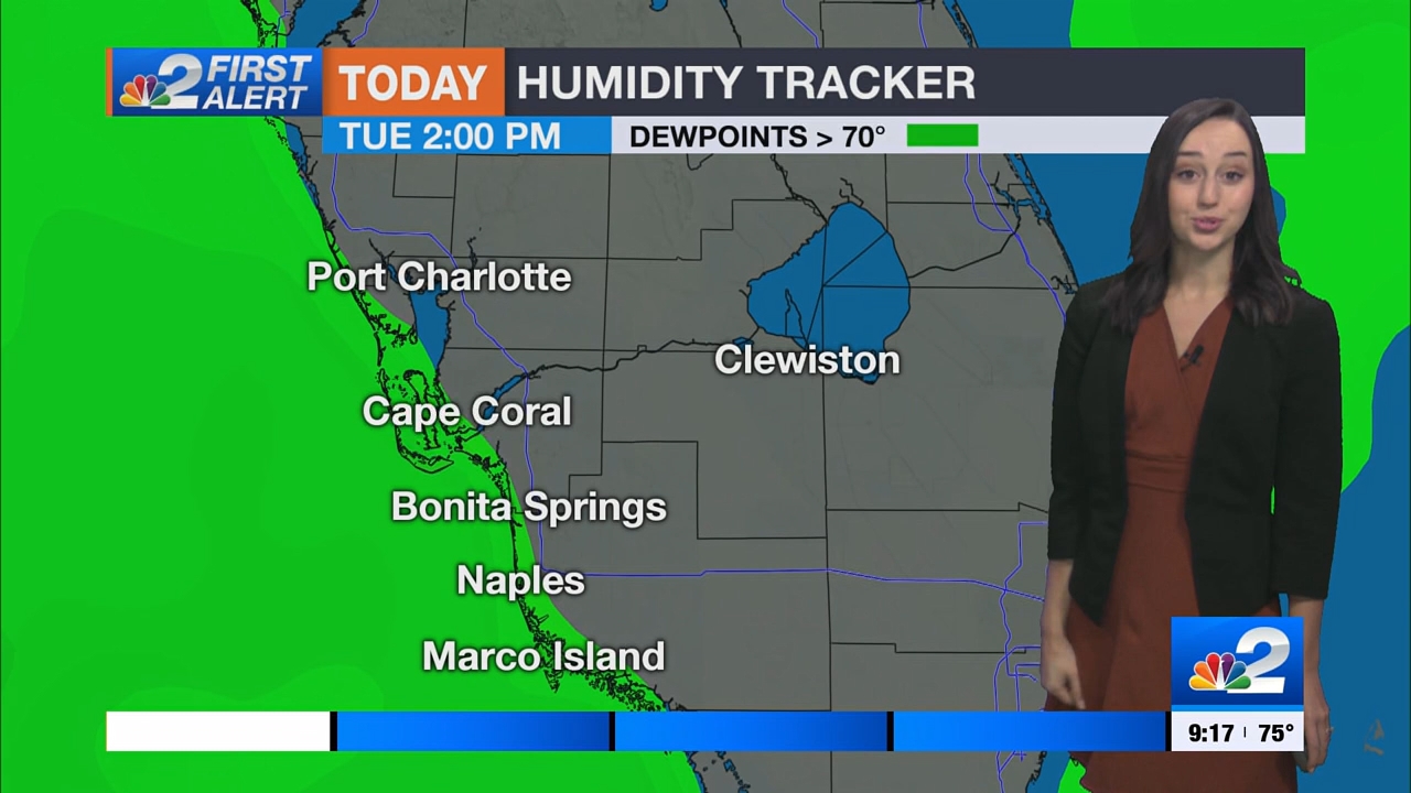 03.26 - 14.00.00 - NBC 2 News Today - Sunday  ᴺᵉʷ..ts_snapshot_00.24.01.847