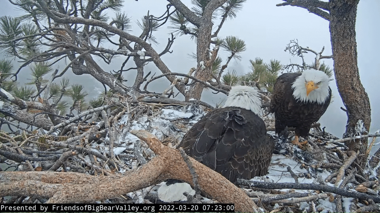 Webp.net-gifmaker (3)