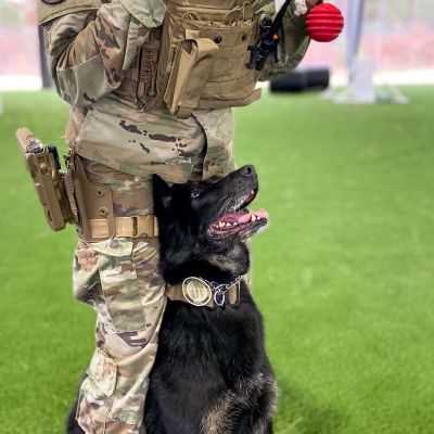 photo_preview_2730_615357b171f01