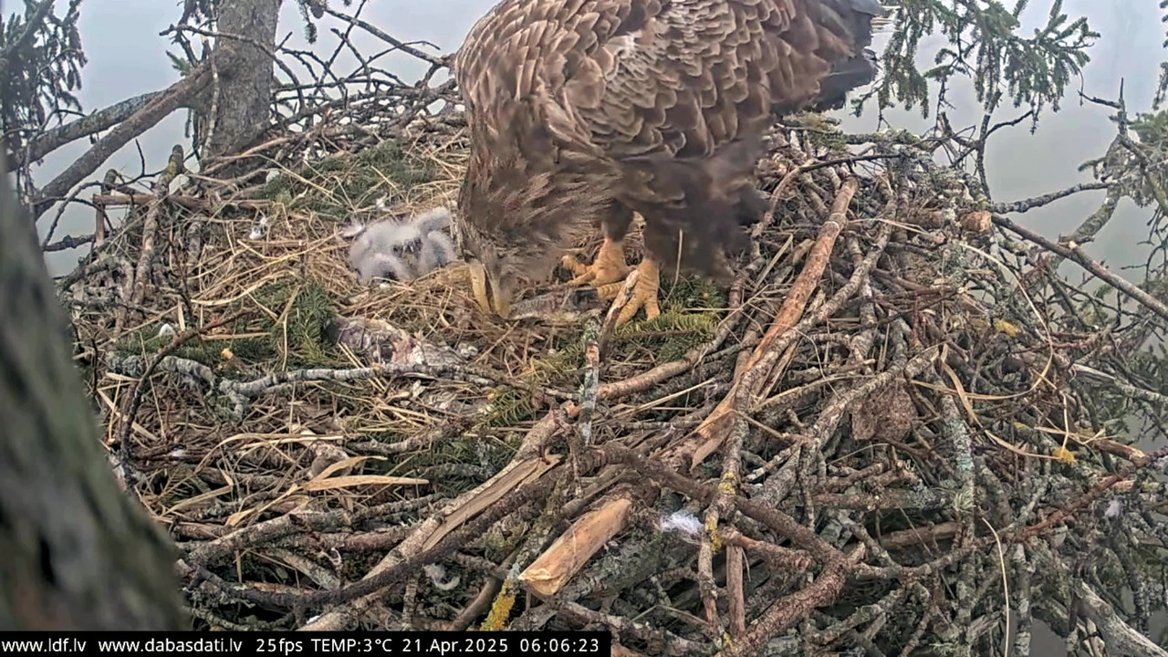 vlcsnap-2025-04-21-07h27m51s431