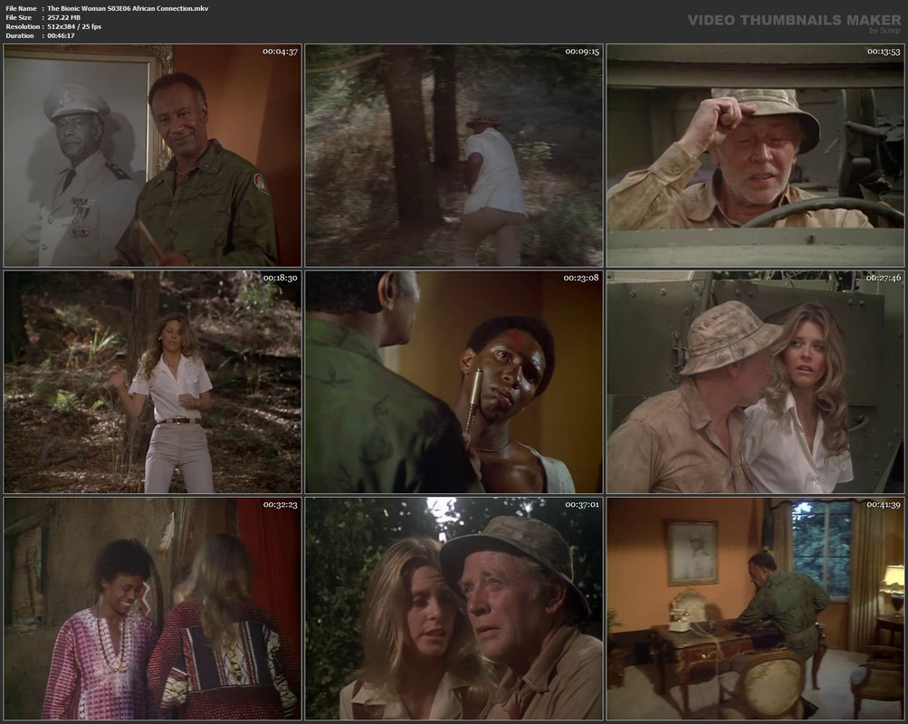 The Bionic Woman S03E06 African Connection.mkv