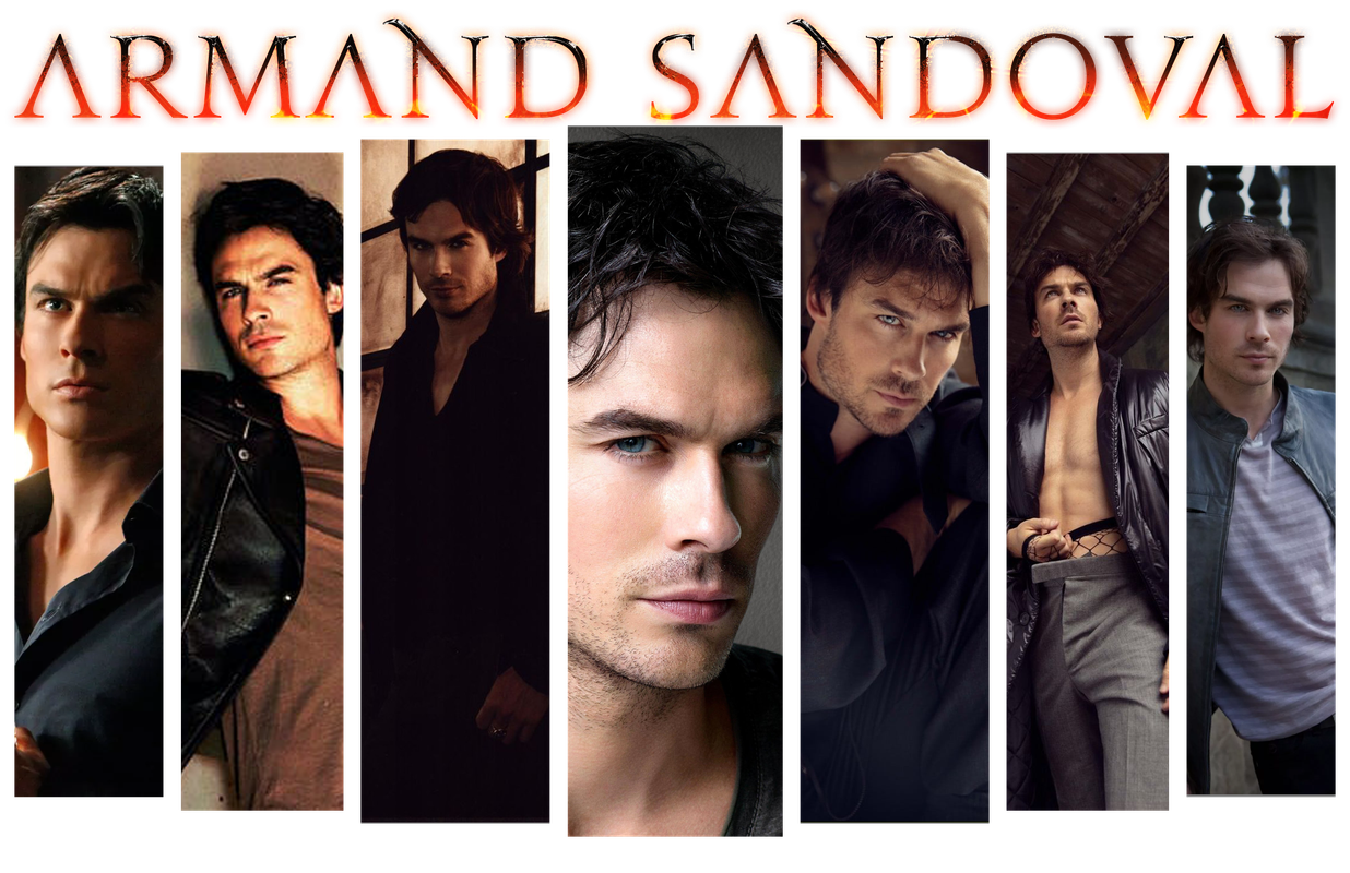 Armand-Sandoval-Banner.png