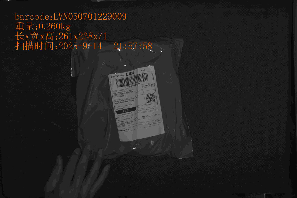 LVN050701229009_261_238_71_0.260_2025_9_14_21_57_58