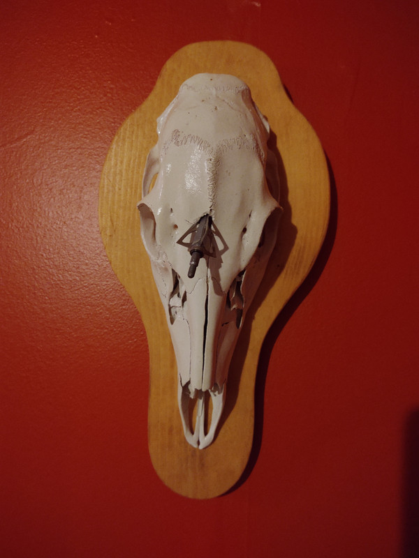 IMG_20200307_183449174