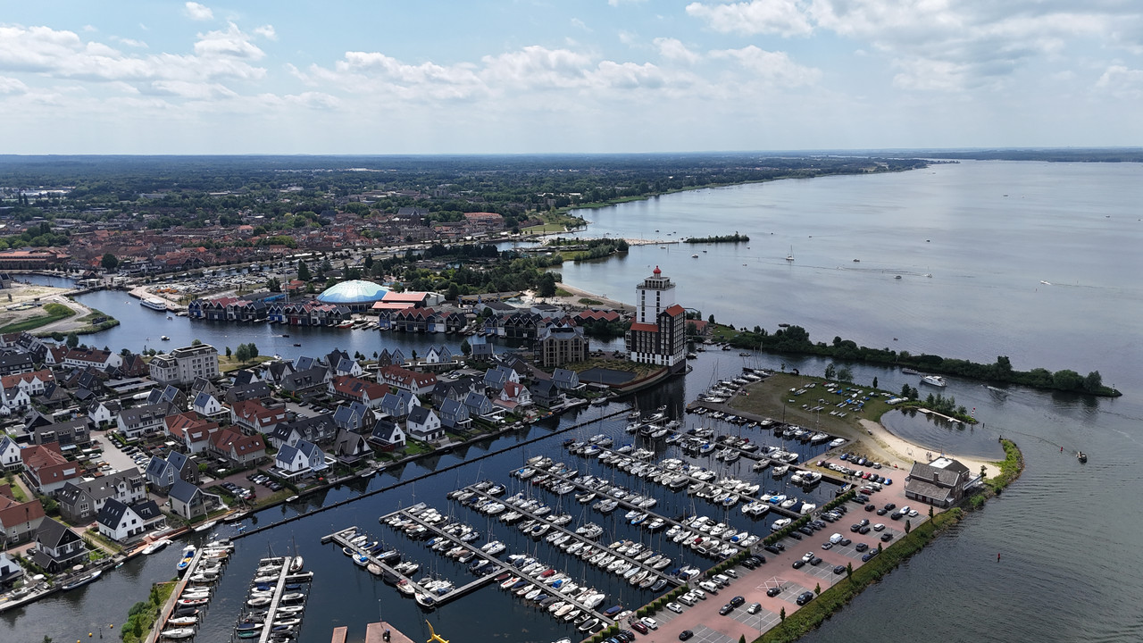 Трое в Амстердаме, не считая собаки. Переезд в Нидерланды.
