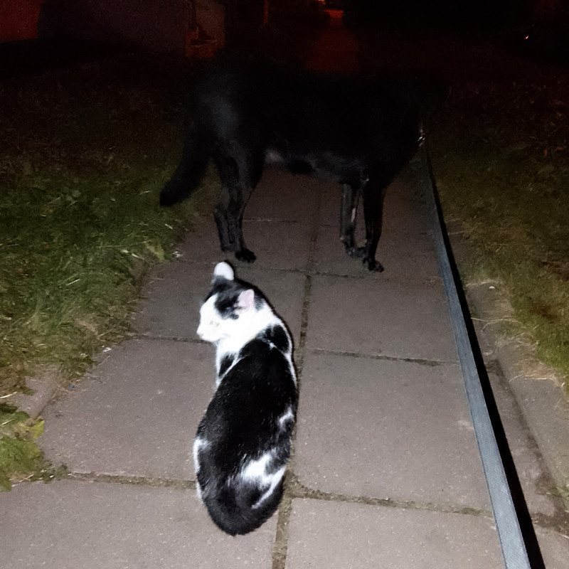 IMG_20241125_221205~2