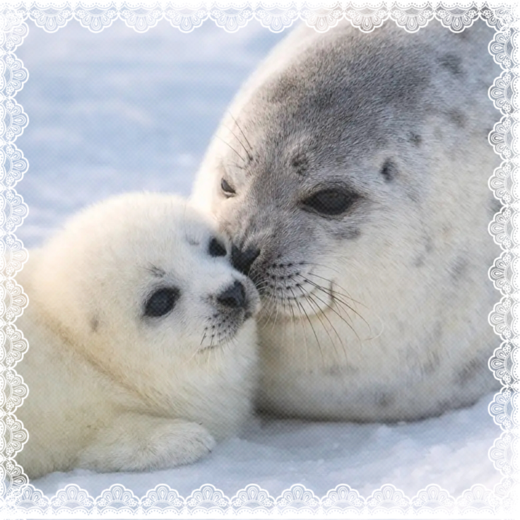 starts sobbing uncontrollably