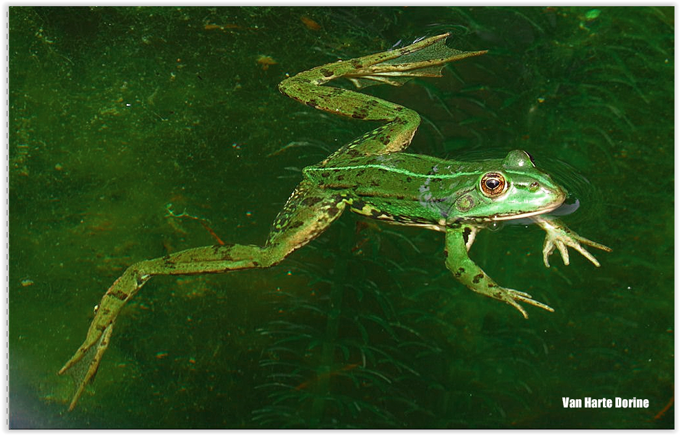 Screen Shot 11 12 25 at 09 05 AM