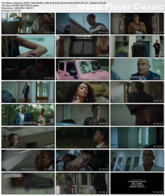 Assassin (2023) 720p Thumbs