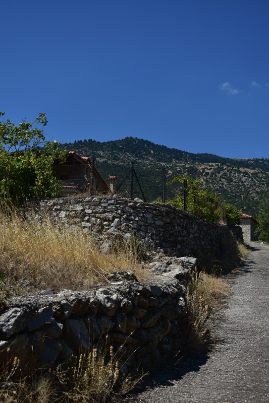 Καρυά (25)