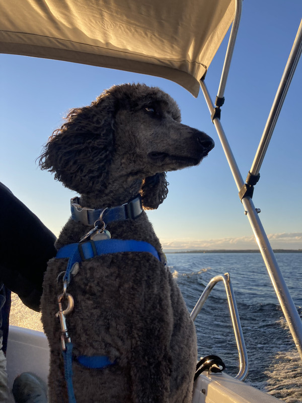 41775EC3-F800-4080-AC02-738F2466B7E2