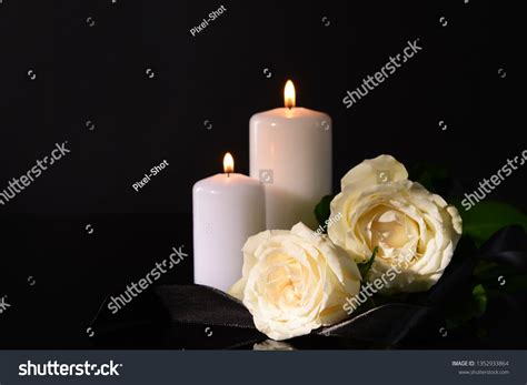 [Image: th-1740765328535.jpg]