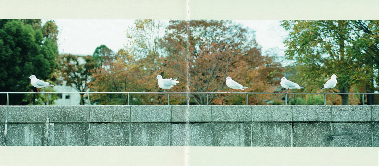 028