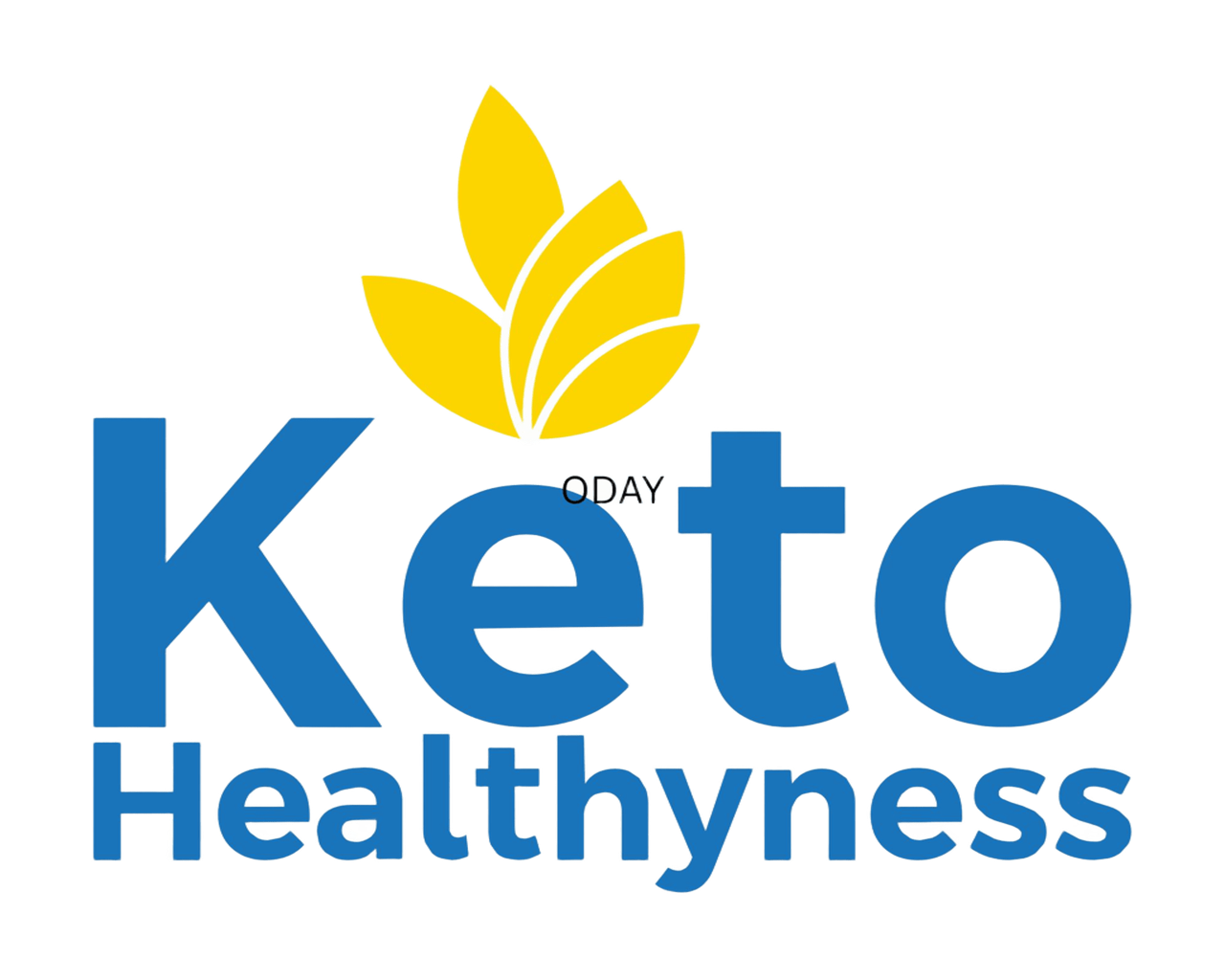 Keto Healthyness Logo