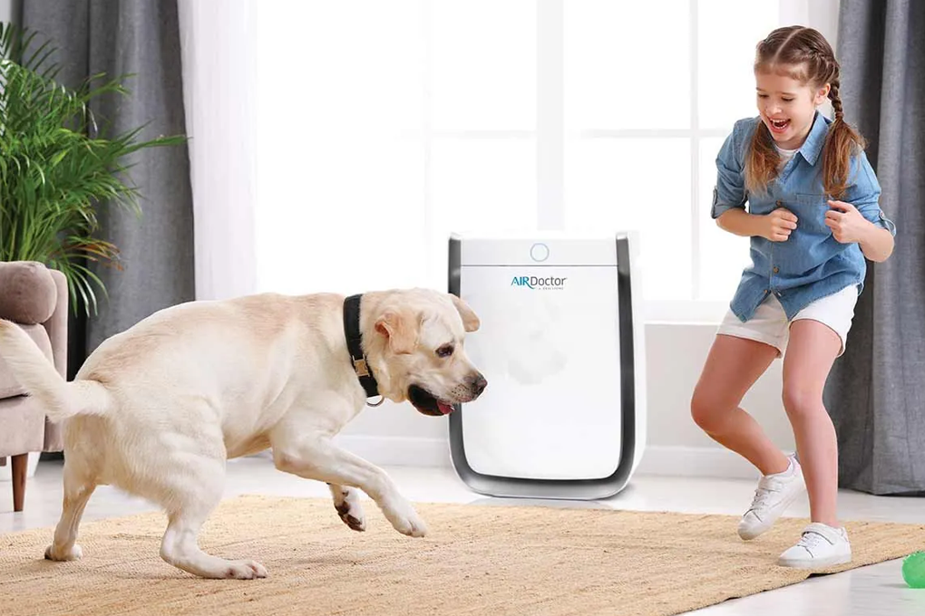 Best air purifier for house with clearance pets