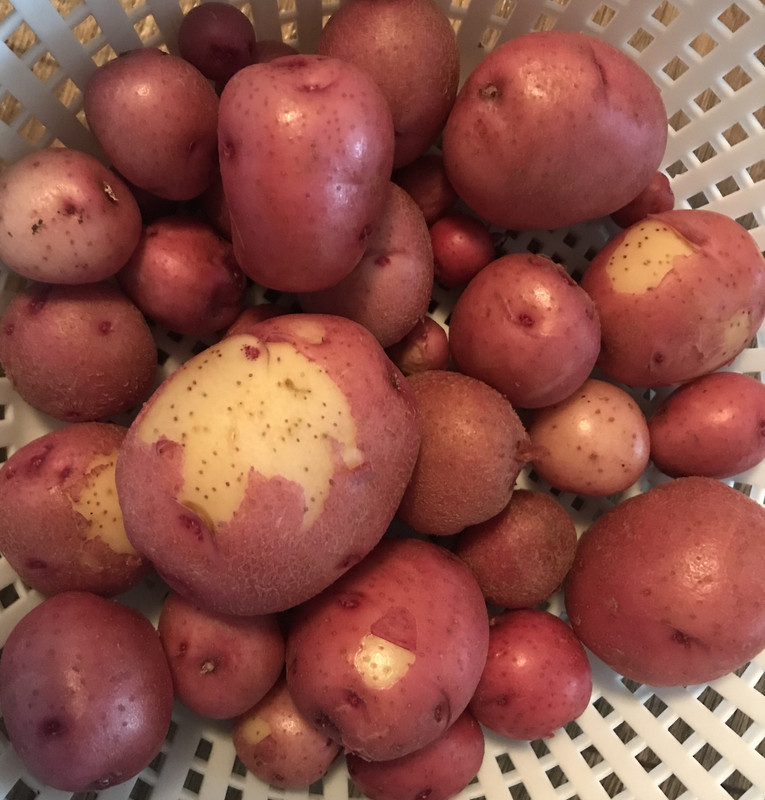 D1A81E9B-7925-455D-B232-6374236389B7