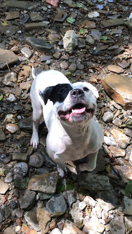 6F10BBC1-205B-4BD4-8D9E-EF50CB8DB717