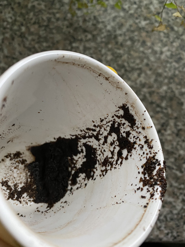 97E8E6D9-29A7-4D29-898B-64E8B35ED1CB