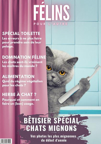 624b8e0e5429f993520119-felins-pour-lautre-avril-2022.jpg