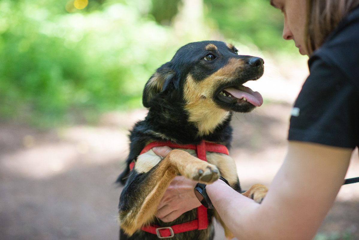 610_0646_бобруйск