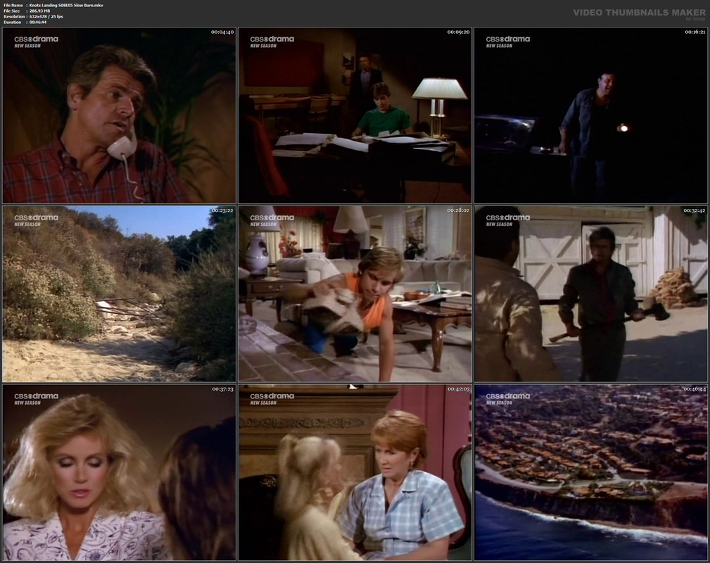 Knots Landing S08E05 Slow Burn.mkv