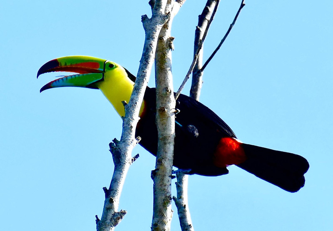 822B00A4-057F-4889-B5C9-72B7D408A903