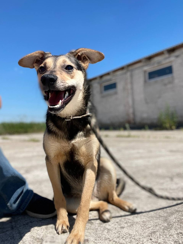 IMG_20210619_223440_383