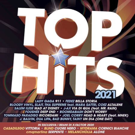 80c1779a 4249 40e5 8eb1 b2d158feb085 - Various Artists - Top Hits (2021)