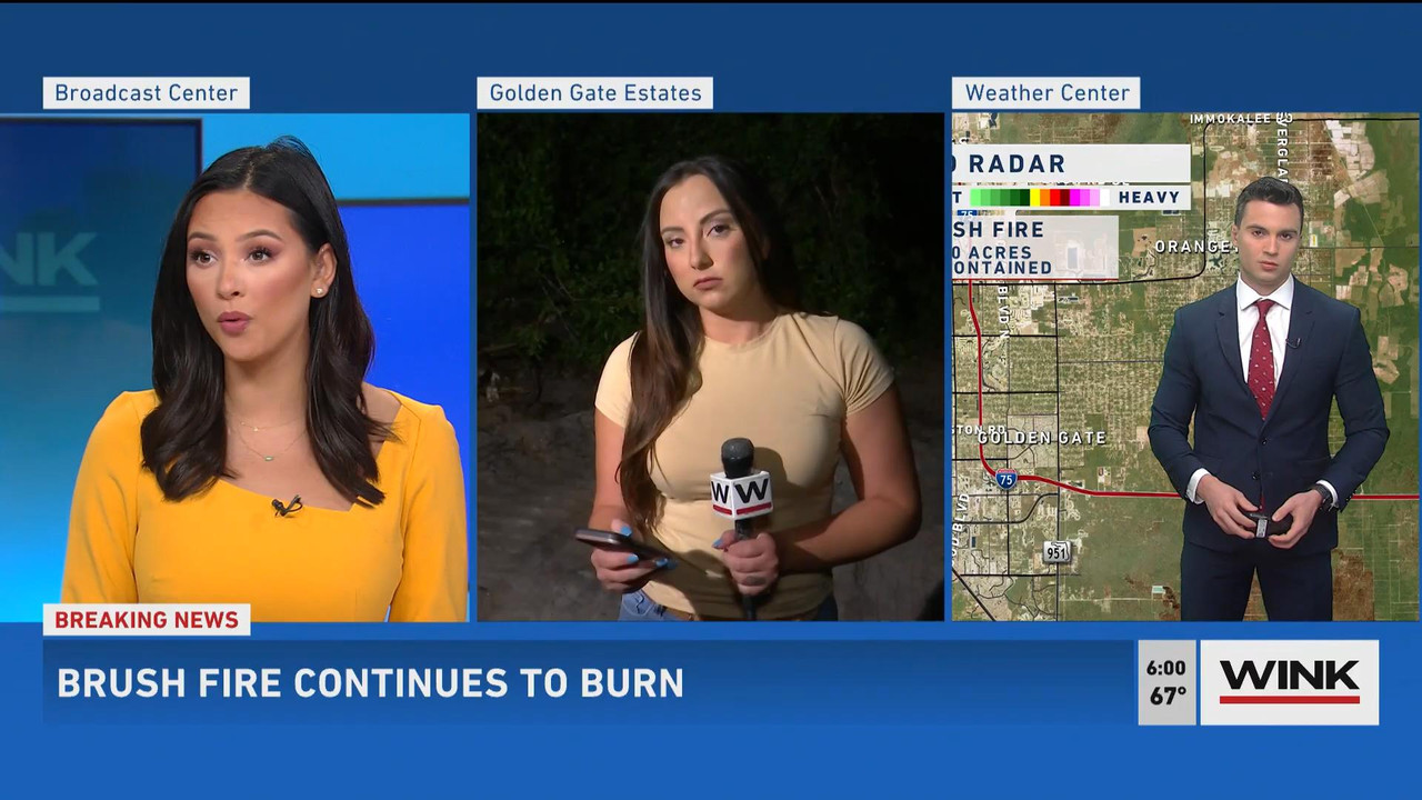05.23 - 11.00.00 - WINK News @ 6 00AM Sunday. Local news, sports and ....ts_snapshot_00.48_[2021.05.