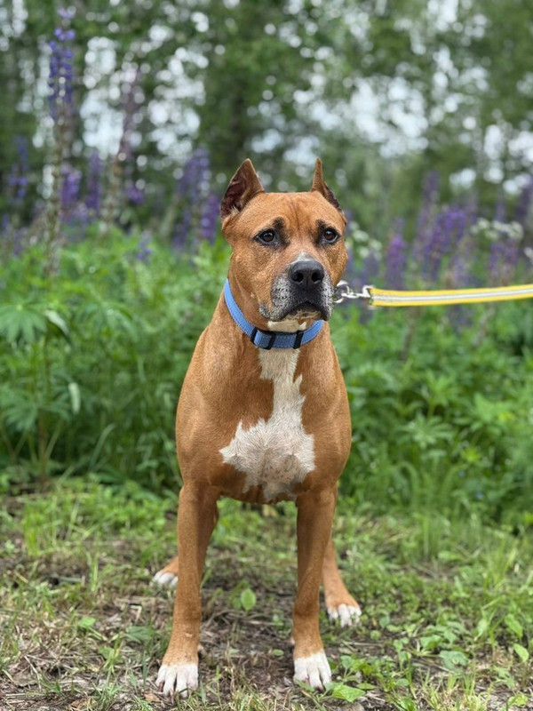 WhatsApp Image 2025-06-20 at 00.21.24 (1)